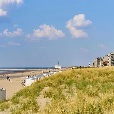 Duinenblik 3 Appartamento *